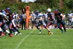 Pirmasens-Praetorians-Bad-Homburg-Sentinels-American-Football-084