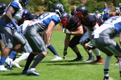 Pirmasens-Praetorians-Bad-Homburg-Sentinels-American-Football-099