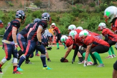 Pirmasens-Praetorians-BK-Warriors-American-Football-106