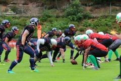 Pirmasens-Praetorians-BK-Warriors-American-Football-280