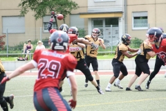 Giessen-Golden-Dragons-Pirmasens-Praetorians-American-Football-019