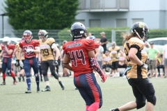 Giessen-Golden-Dragons-Pirmasens-Praetorians-American-Football-065