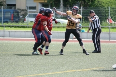 Giessen-Golden-Dragons-Pirmasens-Praetorians-American-Football-102