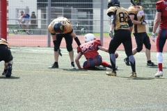Giessen-Golden-Dragons-Pirmasens-Praetorians-American-Football-108