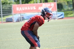 Giessen-Golden-Dragons-Pirmasens-Praetorians-American-Football-111