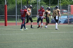 Giessen-Golden-Dragons-Pirmasens-Praetorians-American-Football-121
