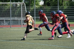 Giessen-Golden-Dragons-Pirmasens-Praetorians-American-Football-140