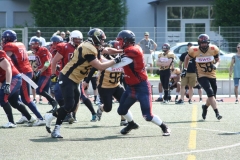 Giessen-Golden-Dragons-Pirmasens-Praetorians-American-Football-148