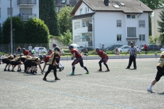 Giessen-Golden-Dragons-Pirmasens-Praetorians-American-Football-158