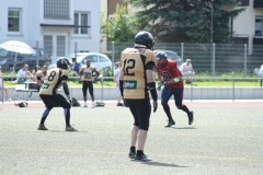 Giessen-Golden-Dragons-Pirmasens-Praetorians-American-Football-171