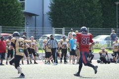 Giessen-Golden-Dragons-Pirmasens-Praetorians-American-Football-173