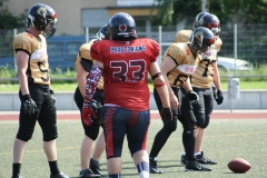 Giessen-Golden-Dragons-Pirmasens-Praetorians-American-Football-185